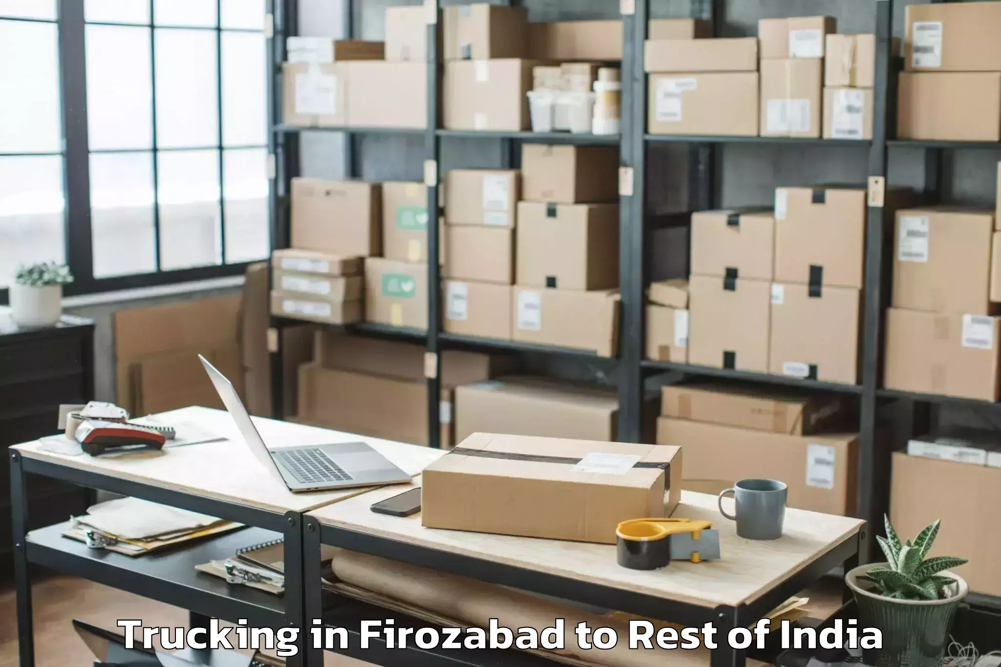 Book Firozabad to Sarisha Trucking Online